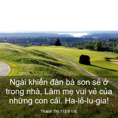 Picture 03 - Thánh Thi 113:9 VIE - Ngài khiến đàn bà son sẻ ở trong nhà, - Bible Verse Picture