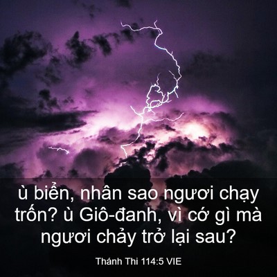 Picture 03 - Thánh Thi 114:5 VIE - ù biển, nhân sao ngươi chạy trốn? ù - Bible Verse Picture