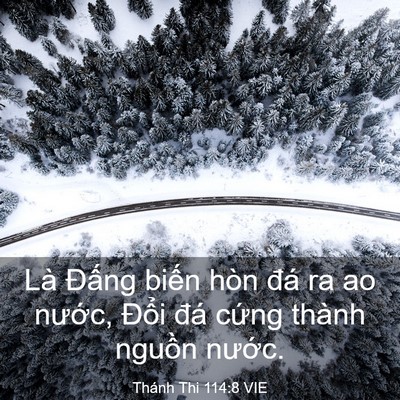 Picture 03 - Thánh Thi 114:8 VIE - Là Đấng biến hòn đá ra ao nước, - Bible Verse Picture