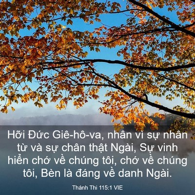 Picture 03 - Thánh Thi 115:1 VIE - Hỡi Đức Giê-hô-va, nhân vì sự nhân - Bible Verse Picture