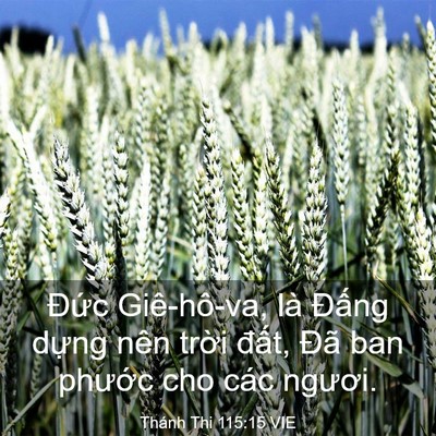 Picture 03 - Thánh Thi 115:15 VIE - Đức Giê-hô-va, là Đấng dựng nên - Bible Verse Picture