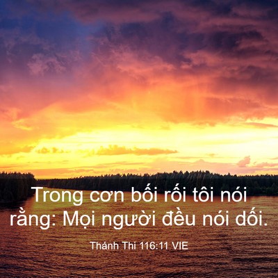 Picture 03 - Thánh Thi 116:11 VIE - Trong cơn bối rối tôi nói rằng: Mọi - Bible Verse Picture
