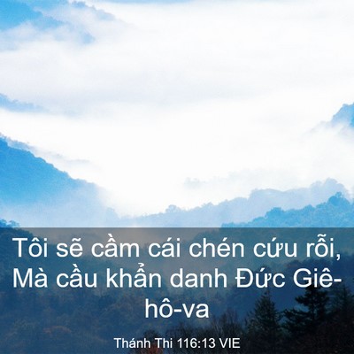Picture 03 - Thánh Thi 116:13 VIE - Tôi sẽ cầm cái chén cứu rỗi, Mà cầu - Bible Verse Picture