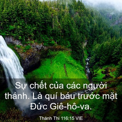 Picture 03 - Thánh Thi 116:15 VIE - Sự chết của các người thánh. Là quí - Bible Verse Picture