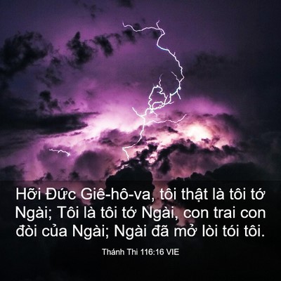 Picture 03 - Thánh Thi 116:16 VIE - Hỡi Đức Giê-hô-va, tôi thật là tôi - Bible Verse Picture
