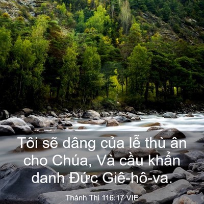 Picture 03 - Thánh Thi 116:17 VIE - Tôi sẽ dâng của lễ thù ân cho Chúa, - Bible Verse Picture