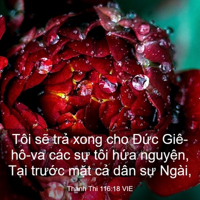 Picture 03 - Thánh Thi 116:18 VIE - Tôi sẽ trả xong cho Đức Giê-hô-va các - Bible Verse Picture