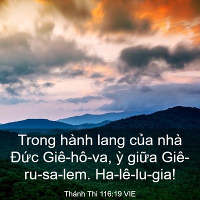 Picture 03 - Thánh Thi 116:19 VIE - Trong hành lang của nhà Đức Giê-hô-va, - Bible Verse Picture