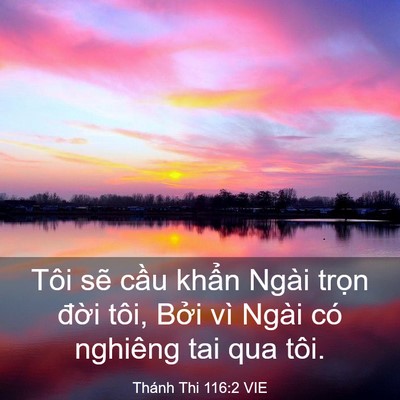 Picture 03 - Thánh Thi 116:2 VIE - Tôi sẽ cầu khẩn Ngài trọn đời tôi, - Bible Verse Picture