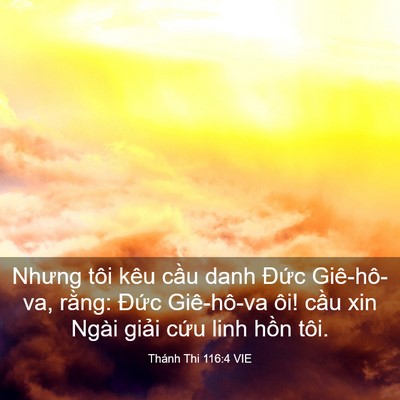 Picture 03 - Thánh Thi 116:4 VIE - Nhưng tôi kêu cầu danh Đức Giê-hô-va, - Bible Verse Picture