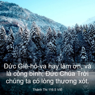 Picture 03 - Thánh Thi 116:5 VIE - Đức Giê-hô-va hay làm ơn, và là công - Bible Verse Picture