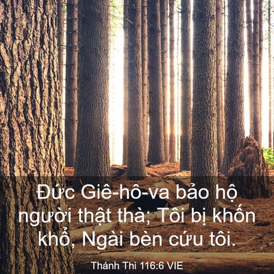 Picture 03 - Thánh Thi 116:6 VIE - Đức Giê-hô-va bảo hộ người thật - Bible Verse Picture