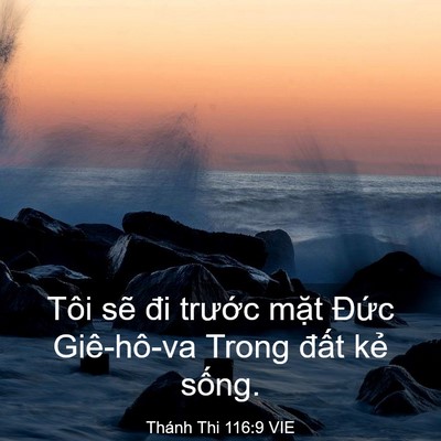 Picture 03 - Thánh Thi 116:9 VIE - Tôi sẽ đi trước mặt Đức Giê-hô-va - Bible Verse Picture