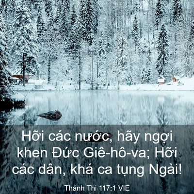 Picture 03 - Thánh Thi 117:1 VIE - Hỡi các nước, hãy ngợi khen Đức - Bible Verse Picture