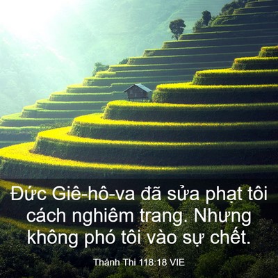 Picture 03 - Thánh Thi 118:18 VIE - Đức Giê-hô-va đã sửa phạt tôi cách - Bible Verse Picture