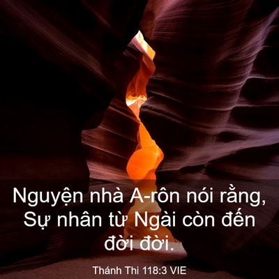Picture 03 - Thánh Thi 118:3 VIE - Nguyện nhà A-rôn nói rằng, Sự nhân từ - Bible Verse Picture