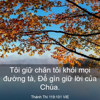 Picture 03 - Thánh Thi 119:101 VIE - Tôi giữ chân tôi khỏi mọi đường tà, - Bible Verse Picture