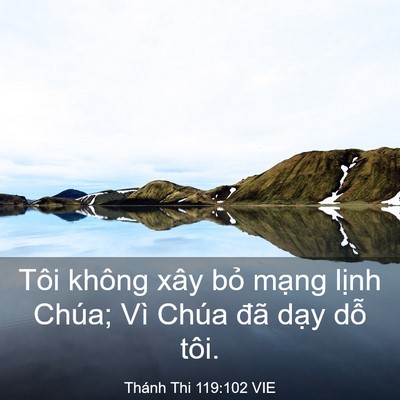 Picture 03 - Thánh Thi 119:102 VIE - Tôi không xây bỏ mạng lịnh Chúa; Vì - Bible Verse Picture