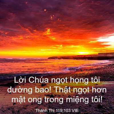 Picture 03 - Thánh Thi 119:103 VIE - Lời Chúa ngọt họng tôi dường bao! - Bible Verse Picture