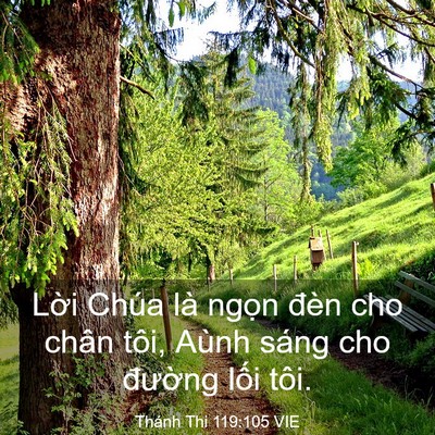 Picture 03 - Thánh Thi 119:105 VIE - Lời Chúa là ngọn đèn cho chân tôi, - Bible Verse Picture