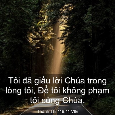 Picture 03 - Thánh Thi 119:11 VIE - Tôi đã giấu lời Chúa trong lòng tôi, - Bible Verse Picture