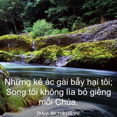 Picture 03 - Thánh Thi 119:110 VIE - Những kẻ ác gài bẫy hại tôi; Song tôi - Bible Verse Picture