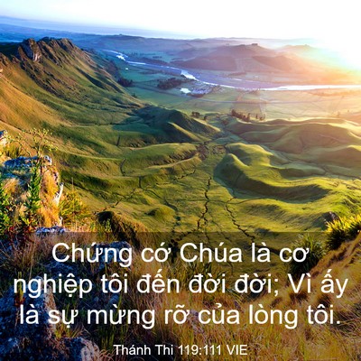 Picture 03 - Thánh Thi 119:111 VIE - Chứng cớ Chúa là cơ nghiệp tôi đến - Bible Verse Picture