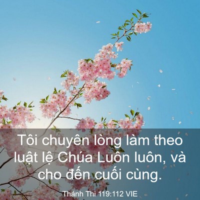 Picture 03 - Thánh Thi 119:112 VIE - Tôi chuyên lòng làm theo luật lệ Chúa - Bible Verse Picture