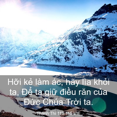 Picture 03 - Thánh Thi 119:115 VIE - Hỡi kẻ làm ác, hãy lìa khỏi ta, Để - Bible Verse Picture