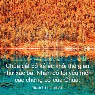 Picture 03 - Thánh Thi 119:119 VIE - Chúa cất bỏ kẻ ác khỏi thế gian như - Bible Verse Picture