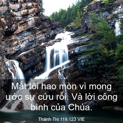 Picture 03 - Thánh Thi 119:123 VIE - Mắt tôi hao mòn vì mong ước sự cứu - Bible Verse Picture