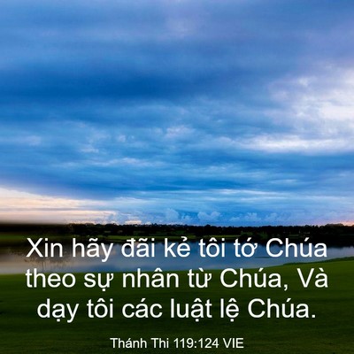 Picture 03 - Thánh Thi 119:124 VIE - Xin hãy đãi kẻ tôi tớ Chúa theo sự - Bible Verse Picture