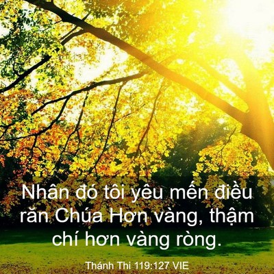 Picture 03 - Thánh Thi 119:127 VIE - Nhân đó tôi yêu mến điều răn Chúa - Bible Verse Picture
