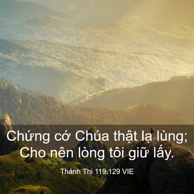 Picture 03 - Thánh Thi 119:129 VIE - Chứng cớ Chúa thật lạ lùng; Cho nên - Bible Verse Picture
