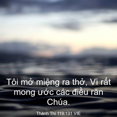 Picture 03 - Thánh Thi 119:131 VIE - Tôi mở miệng ra thở, Vì rất mong ước - Bible Verse Picture