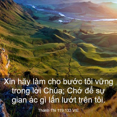 Picture 03 - Thánh Thi 119:133 VIE - Xin hãy làm cho bước tôi vững trong lời - Bible Verse Picture