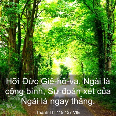 Picture 03 - Thánh Thi 119:137 VIE - Hỡi Đức Giê-hô-va, Ngài là công bình, - Bible Verse Picture