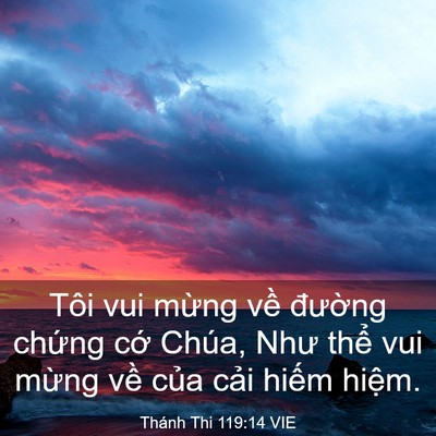 Picture 03 - Thánh Thi 119:14 VIE - Tôi vui mừng về đường chứng cớ - Bible Verse Picture