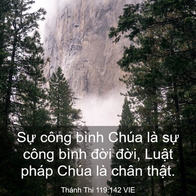Picture 03 - Thánh Thi 119:142 VIE - Sự công bình Chúa là sự công bình - Bible Verse Picture