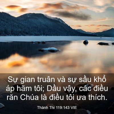 Picture 03 - Thánh Thi 119:143 VIE - Sự gian truân và sự sầu khổ áp hãm - Bible Verse Picture