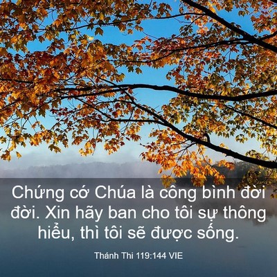 Picture 03 - Thánh Thi 119:144 VIE - Chứng cớ Chúa là công bình đời đời. - Bible Verse Picture