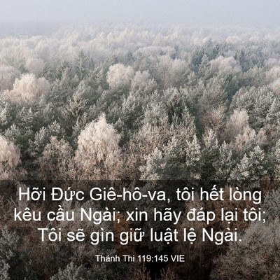 Picture 03 - Thánh Thi 119:145 VIE - Hỡi Đức Giê-hô-va, tôi hết lòng kêu - Bible Verse Picture