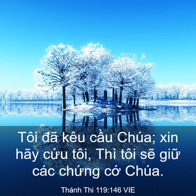Picture 03 - Thánh Thi 119:146 VIE - Tôi đã kêu cầu Chúa; xin hãy cứu tôi, - Bible Verse Picture