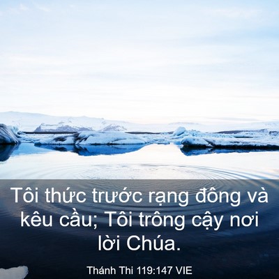 Picture 03 - Thánh Thi 119:147 VIE - Tôi thức trước rạng đông và kêu - Bible Verse Picture