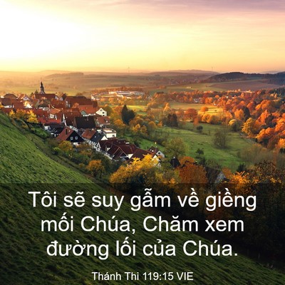 Picture 03 - Thánh Thi 119:15 VIE - Tôi sẽ suy gẫm về giềng mối Chúa, - Bible Verse Picture