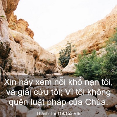 Picture 03 - Thánh Thi 119:153 VIE - Xin hãy xem nỗi khổ nạn tôi, và giải - Bible Verse Picture