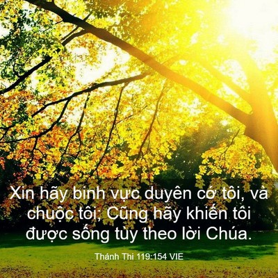 Picture 03 - Thánh Thi 119:154 VIE - Xin hãy binh vực duyên cớ tôi, và chuộc - Bible Verse Picture