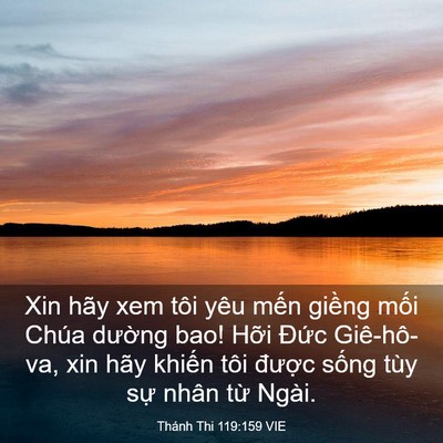 Picture 03 - Thánh Thi 119:159 VIE - Xin hãy xem tôi yêu mến giềng mối Chúa - Bible Verse Picture