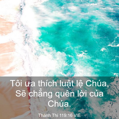Picture 03 - Thánh Thi 119:16 VIE - Tôi ưa thích luật lệ Chúa, Sẽ chẳng - Bible Verse Picture