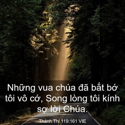 Picture 03 - Thánh Thi 119:161 VIE - Những vua chúa đã bắt bớ tôi vô cớ, - Bible Verse Picture